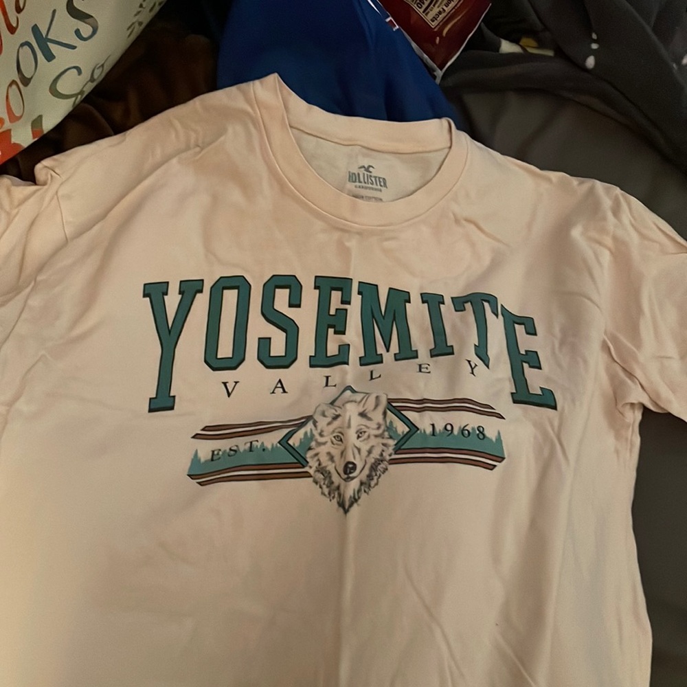 Hollister t shirt